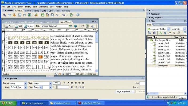 Dreamweaver CS3 Intermediate