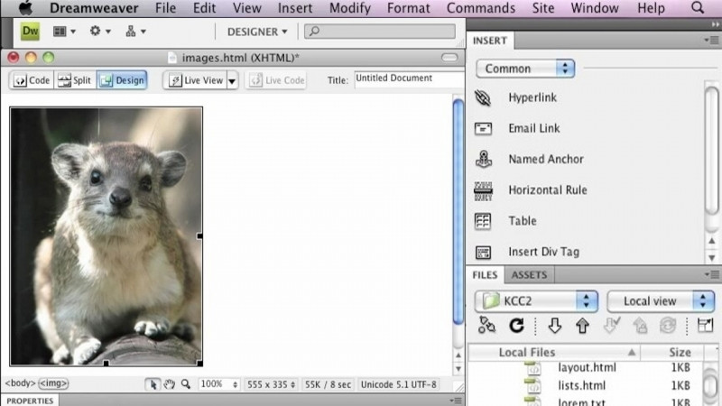 Dreamweaver CS4 Introduction