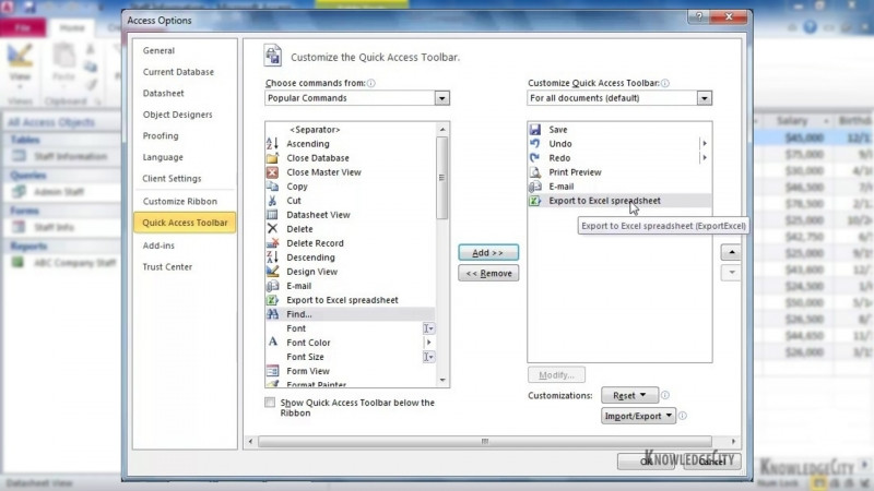 الميزات الجديدة في Access 2010