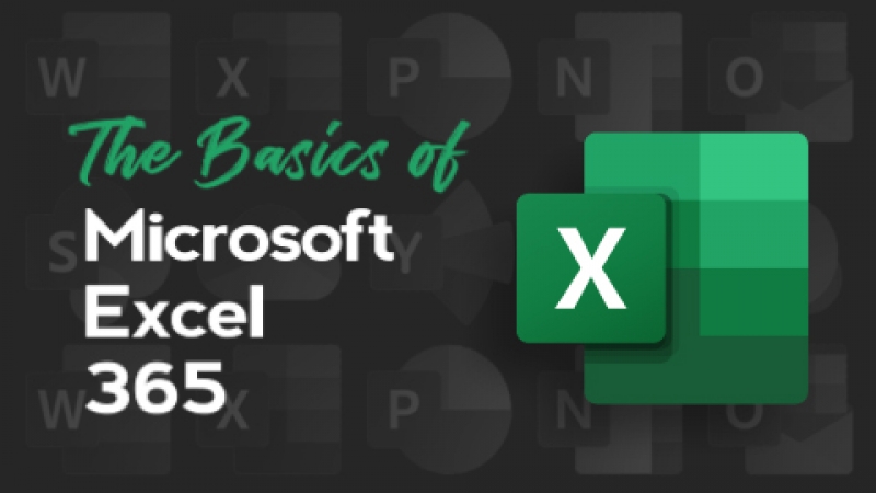 Microsoft Excel 365 Basics