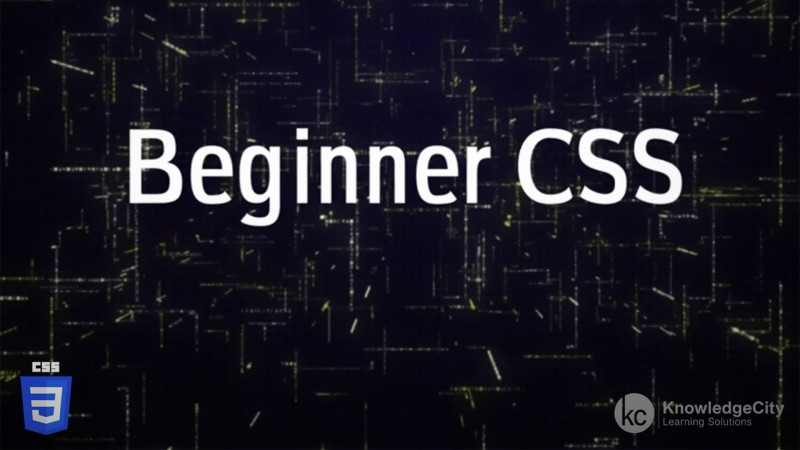 Beginner CSS Series