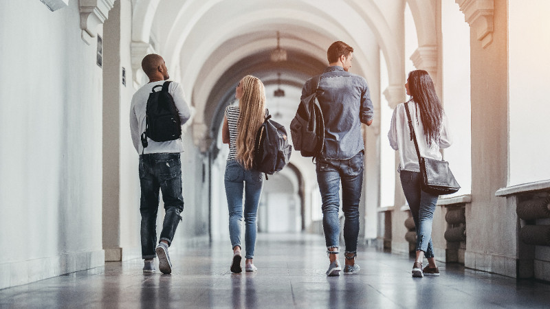 Students’ Rights in Higher Education