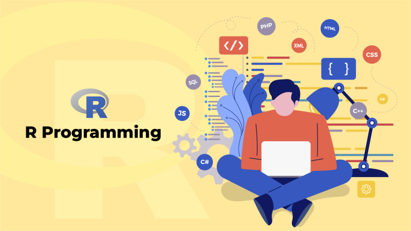 R Programming Beginner